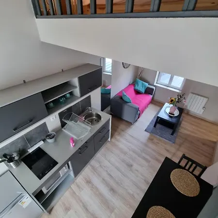 Apartment Le Darny Studio Mezzanine *